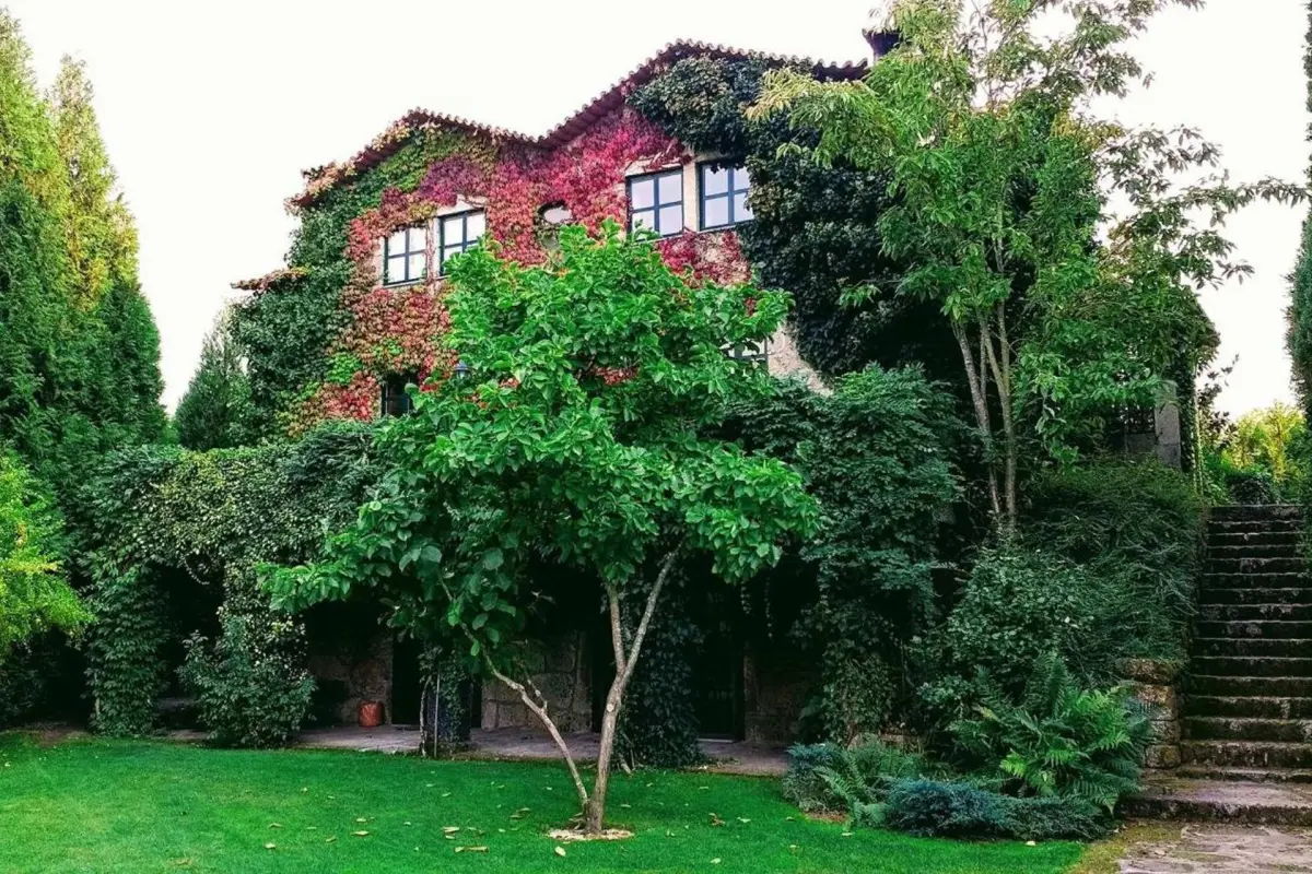 Discover the Casa do Prado Guesthouse: The Perfect Refuge - Imagem 80