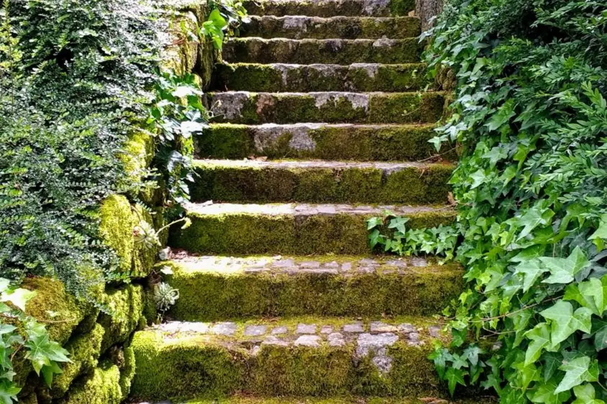 Discover the Casa do Prado Guesthouse: The Perfect Refuge - Imagem 81