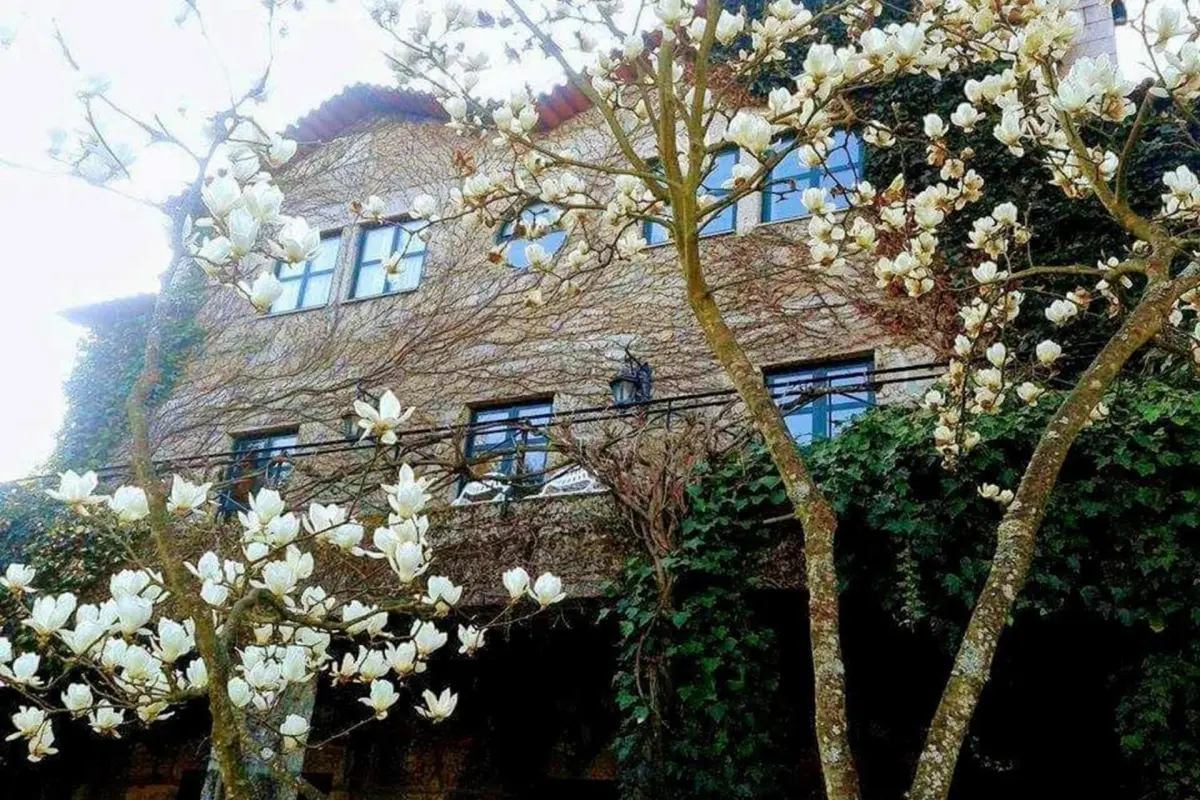 Discover the Casa do Prado Guesthouse: The Perfect Refuge - Imagem 87