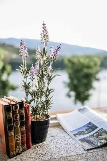 Casa do Rio: Hotel Boutique de Vino en el Alto Douro - Imagem 54