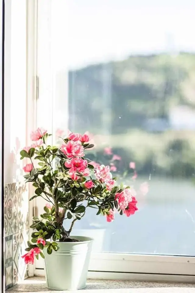 Casa do Rio: Hotel Boutique de Vino en el Alto Douro - Imagem 92