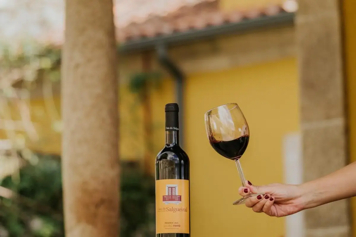 Discover the House of Salgueiral: Your Unmatched Hospitality Experience - Imagem 24