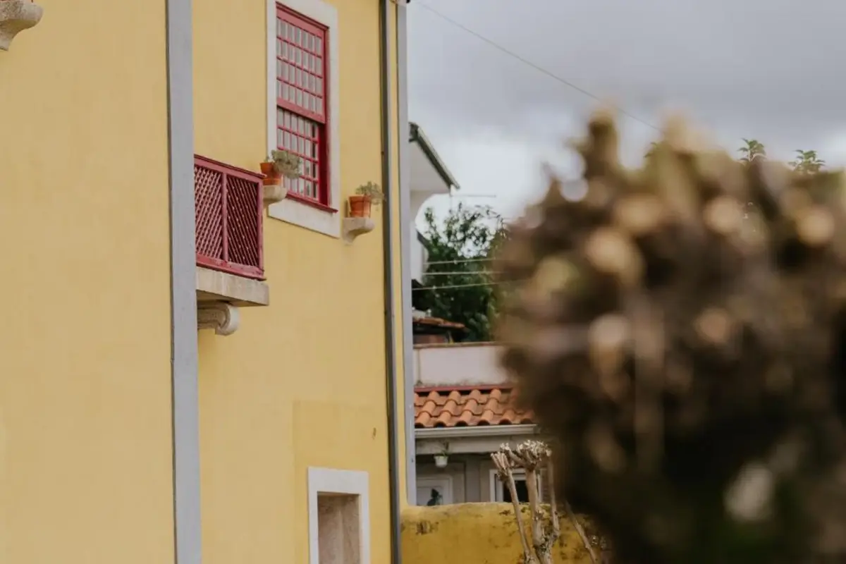 Discover the House of Salgueiral: Your Unmatched Hospitality Experience - Imagem 36