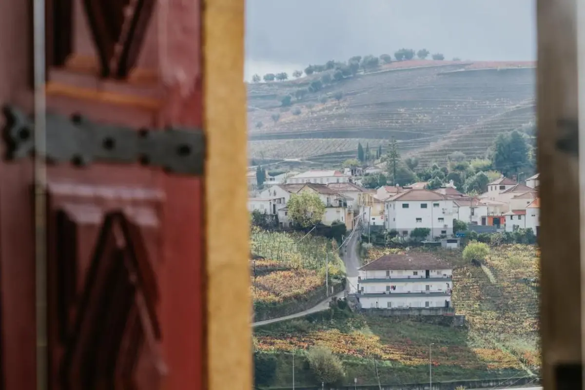 Discover the House of Salgueiral: Your Unmatched Hospitality Experience - Imagem 47