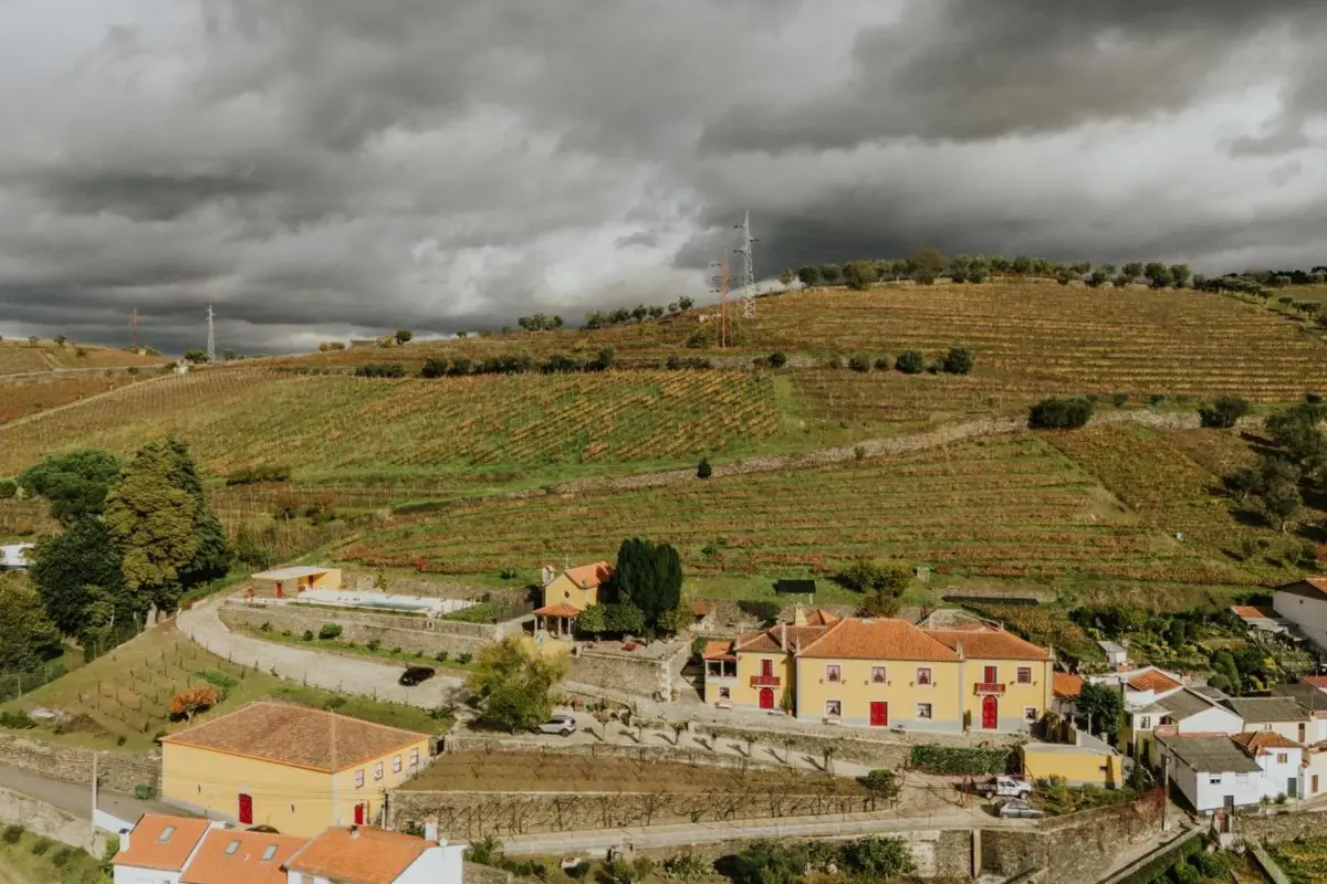 Discover the House of Salgueiral: Your Unmatched Hospitality Experience - Imagem 48