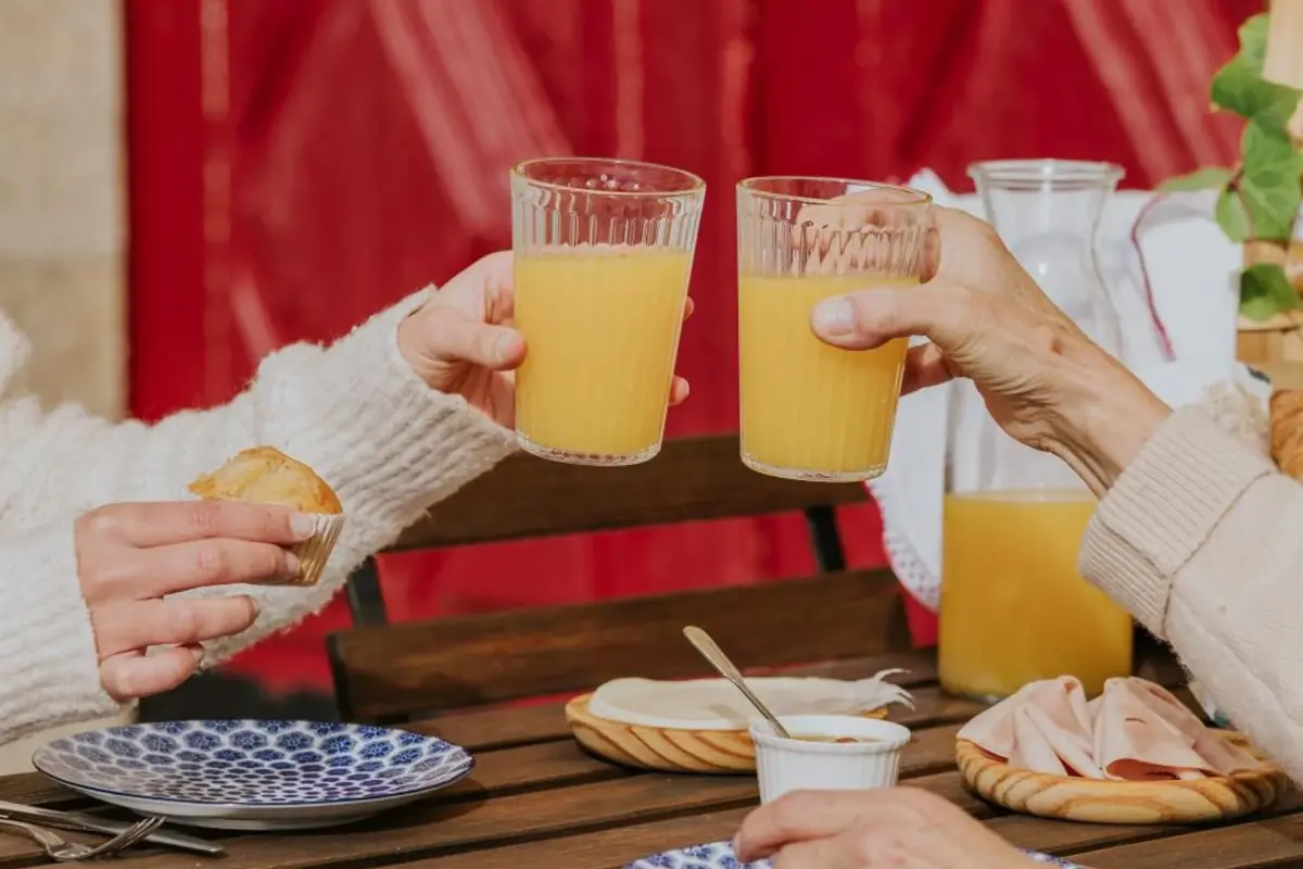 Discover the House of Salgueiral: Your Unmatched Hospitality Experience - Imagem 51