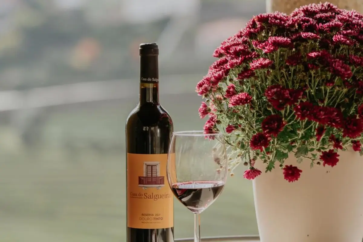 Discover the House of Salgueiral: Your Unmatched Hospitality Experience - Imagem 70