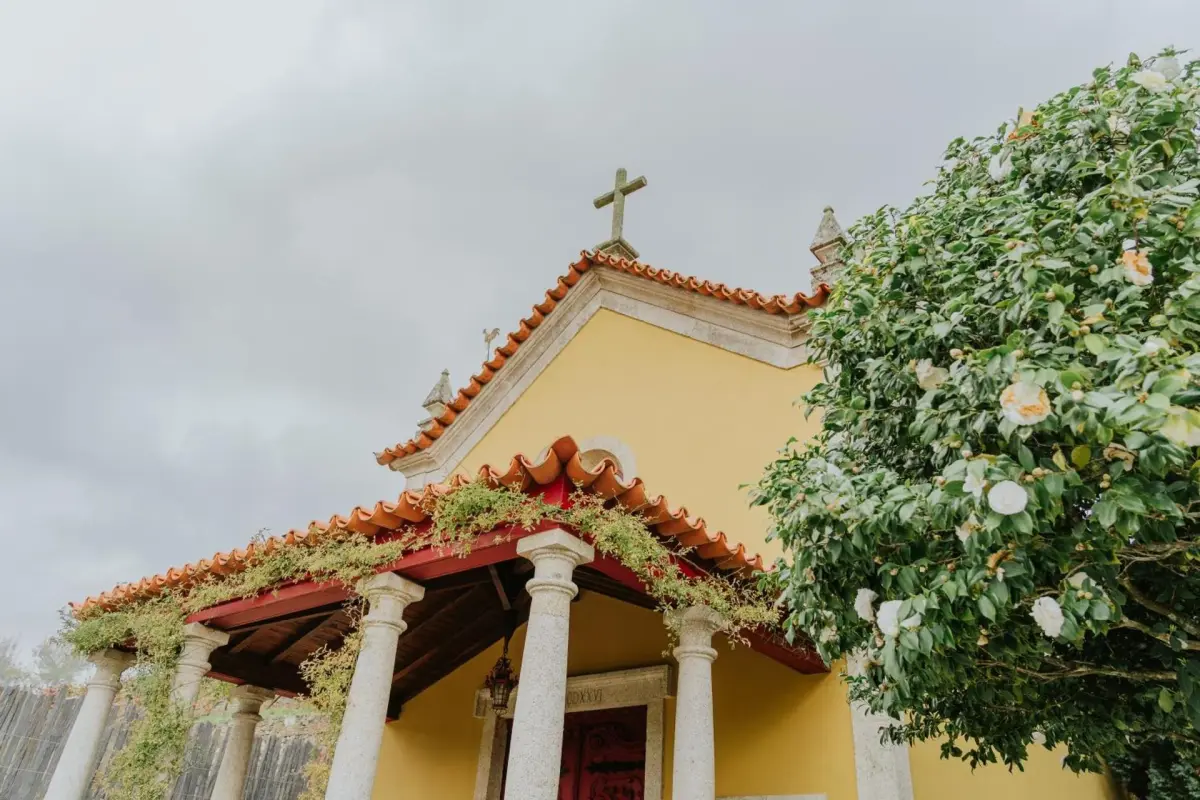 Discover the House of Salgueiral: Your Unmatched Hospitality Experience - Imagem 73