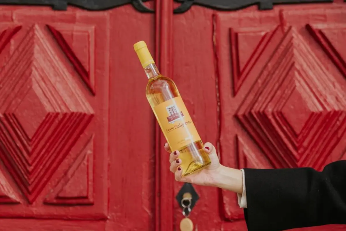 Discover the House of Salgueiral: Your Unmatched Hospitality Experience - Imagem 76