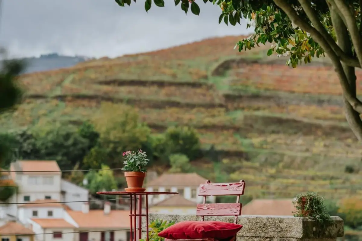 Discover the House of Salgueiral: Your Unmatched Hospitality Experience - Imagem 79