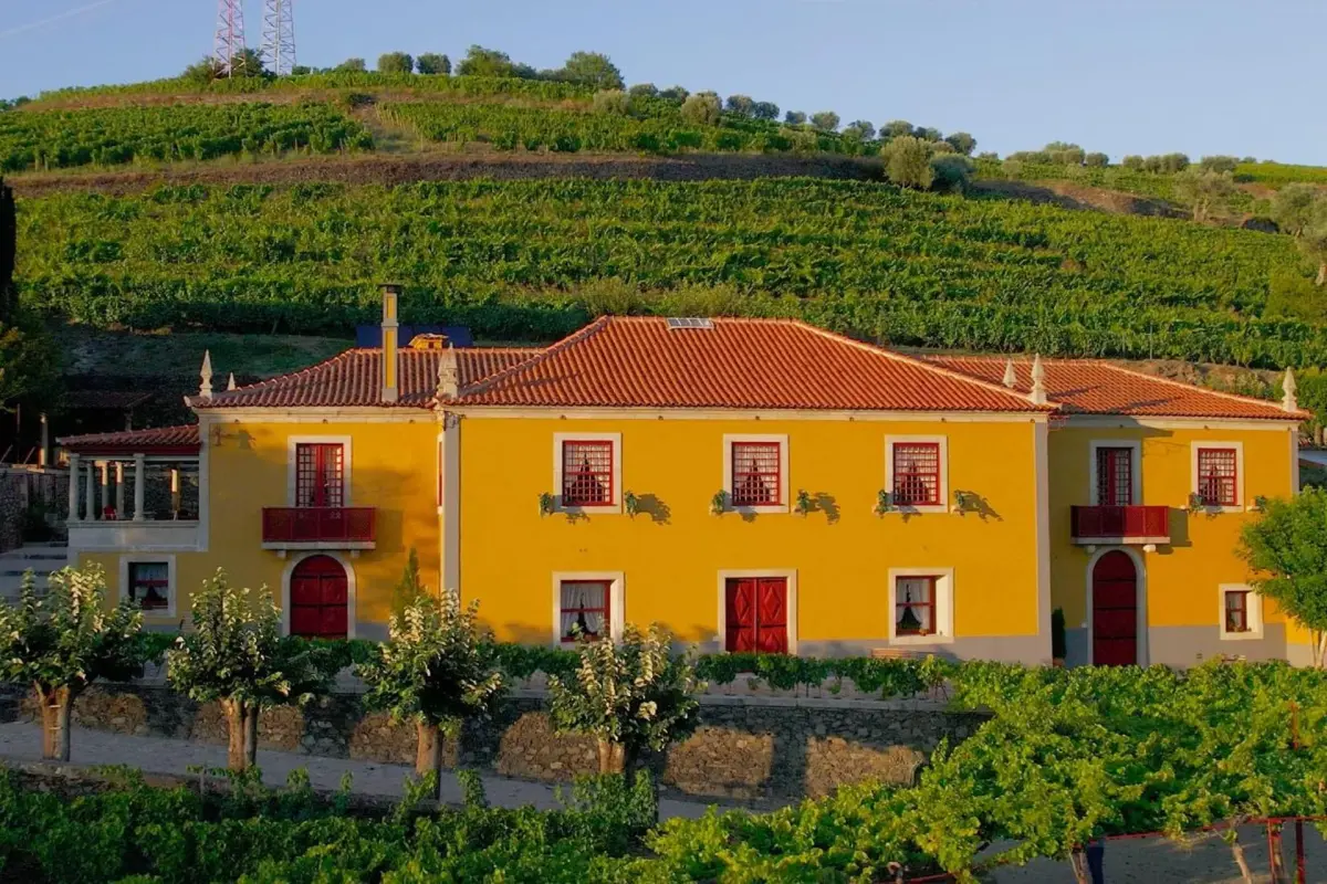 Discover the House of Salgueiral: Your Unmatched Hospitality Experience - Imagem 9