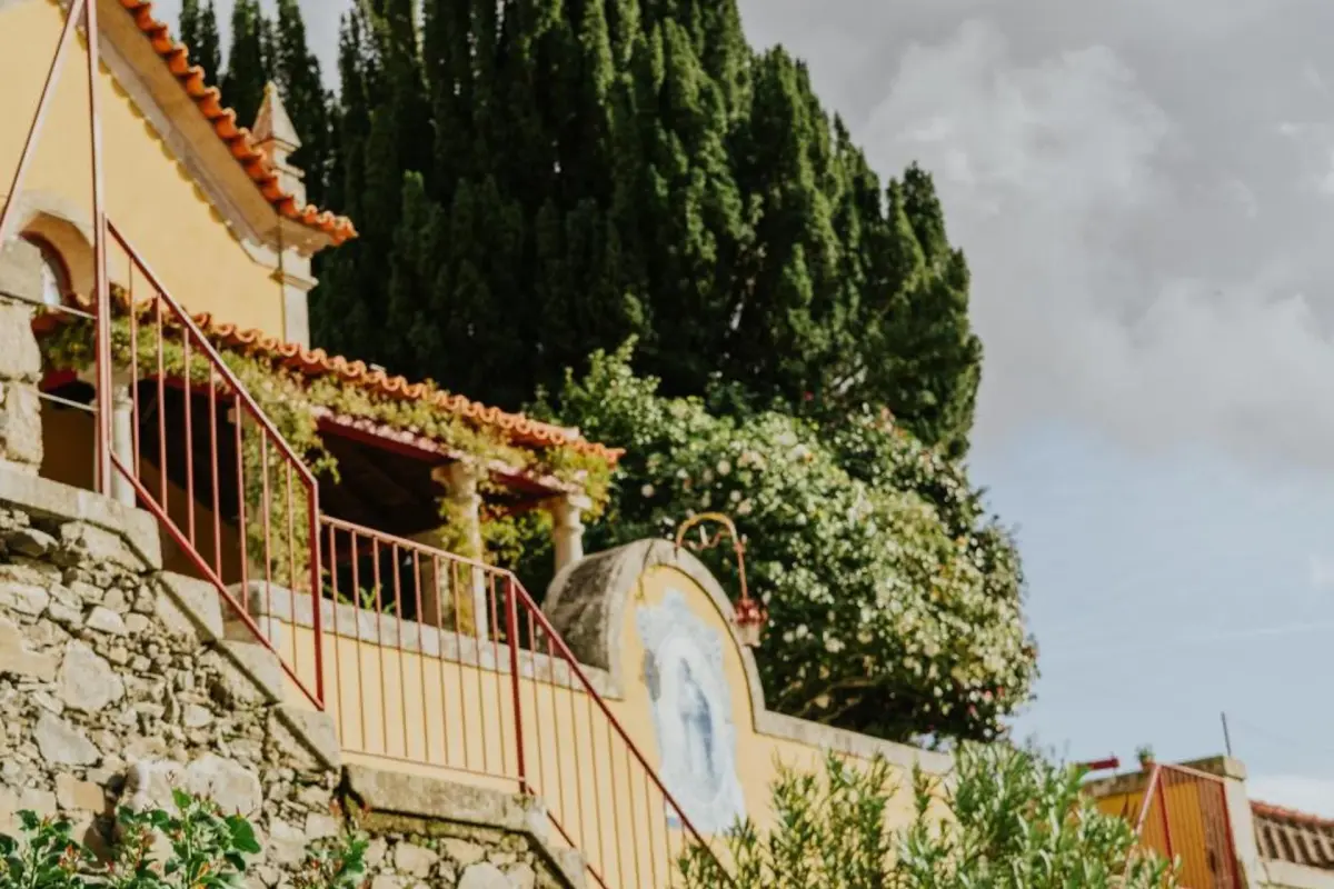 Discover the House of Salgueiral: Your Unmatched Hospitality Experience - Imagem 81