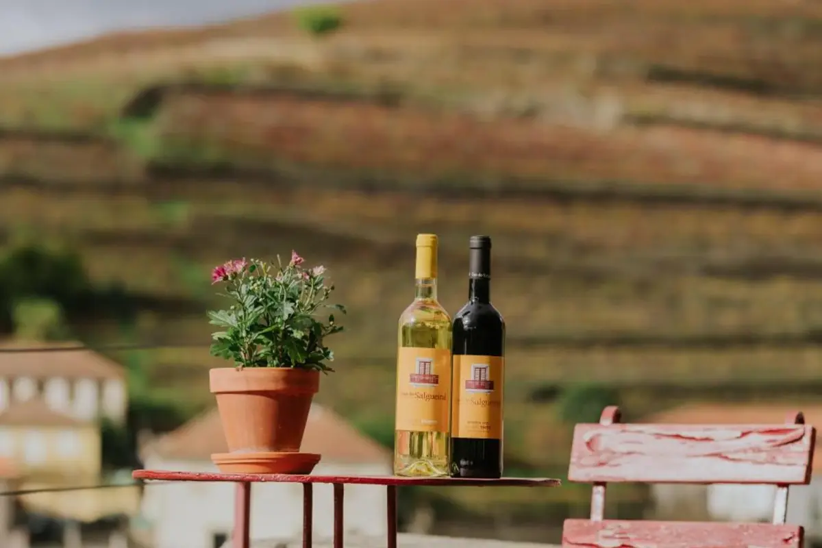 Discover the House of Salgueiral: Your Unmatched Hospitality Experience - Imagem 83