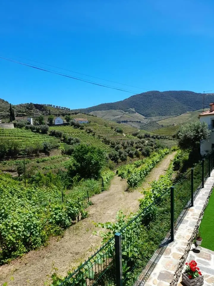 Casa Dona Eufémia : Hospitalité avec Vue sur le Douro à Pinhão - Imagem 42
