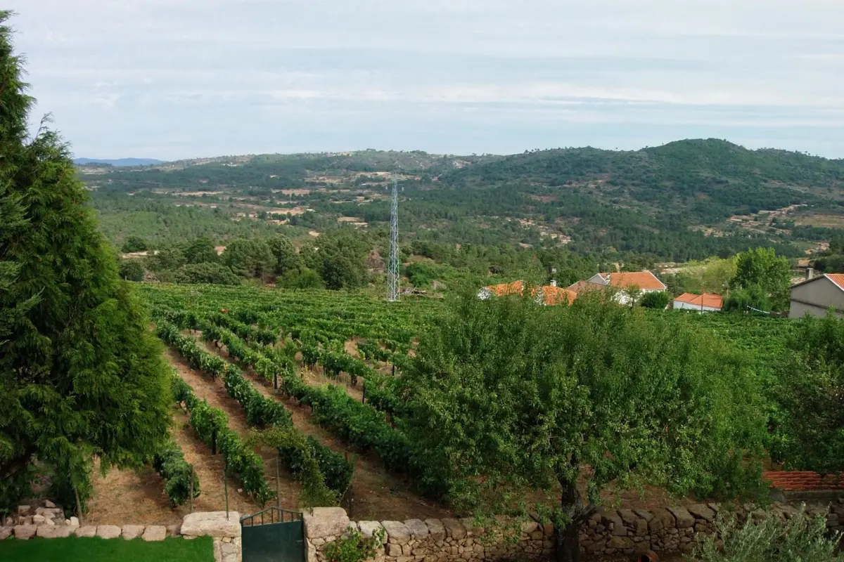 Casa Dona Urraca - Imagem 45