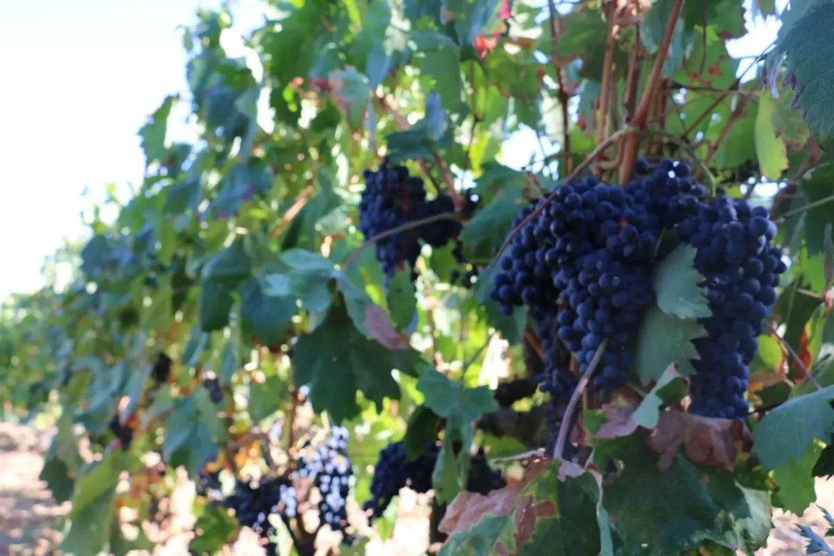 Casa Dona Urraca - Imagem 46