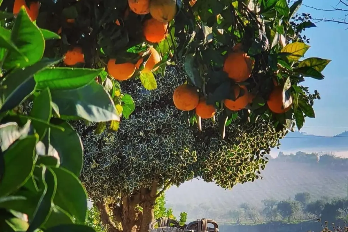 Casa dos Barros - Imagem 23