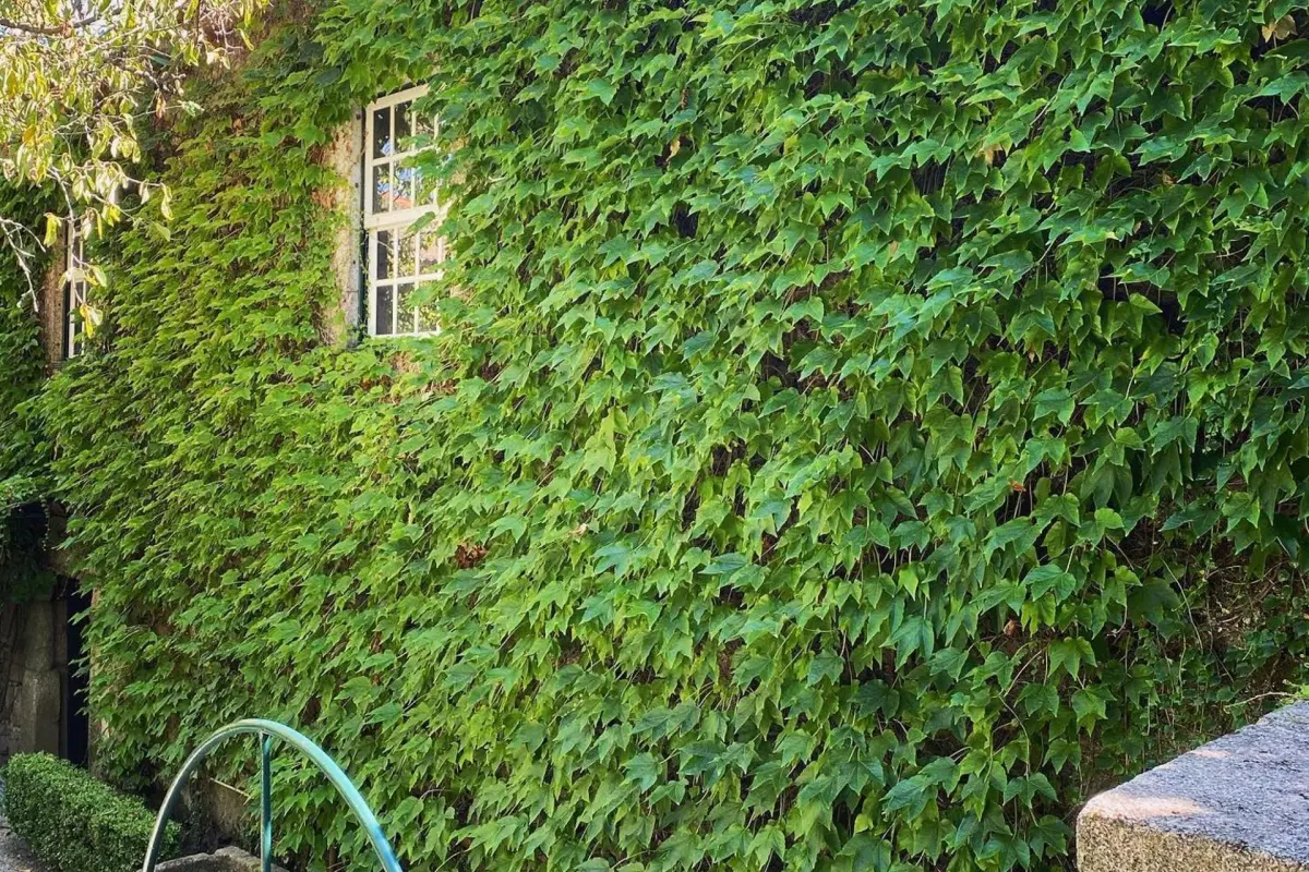 Casa dos Barros - Imagem 25