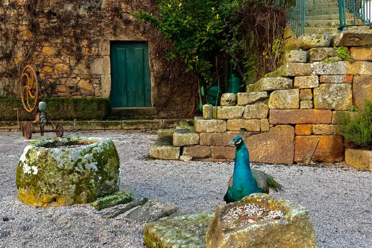 Casa dos Barros - Imagem 26