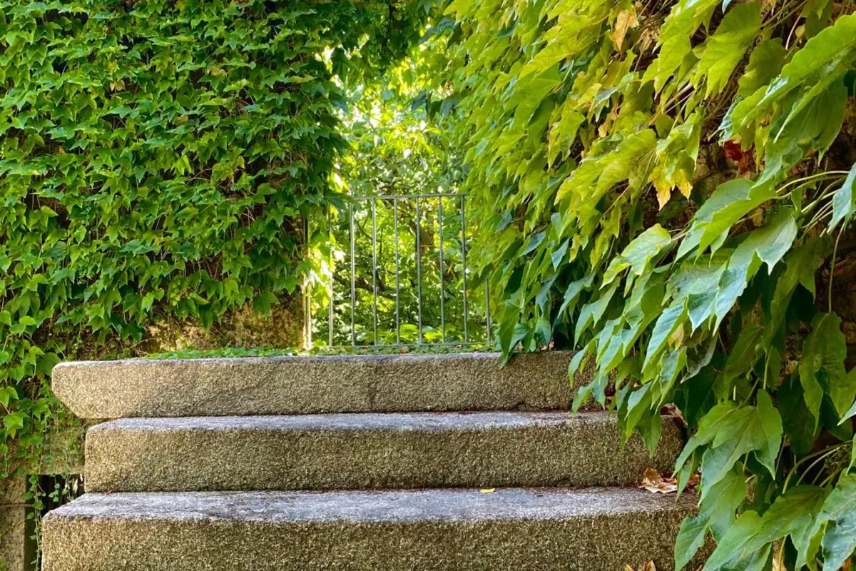 Casa dos Barros - Imagem 28