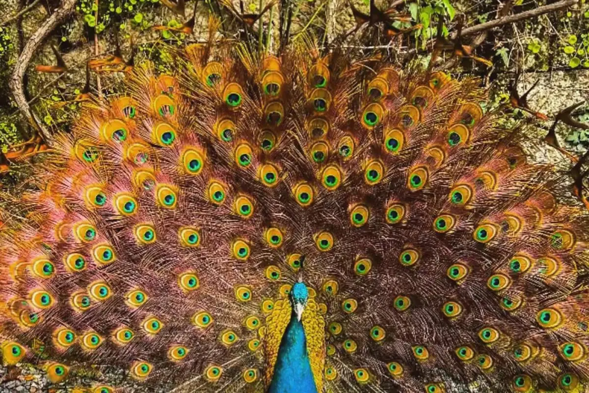 Casa dos Barros - Imagem 31