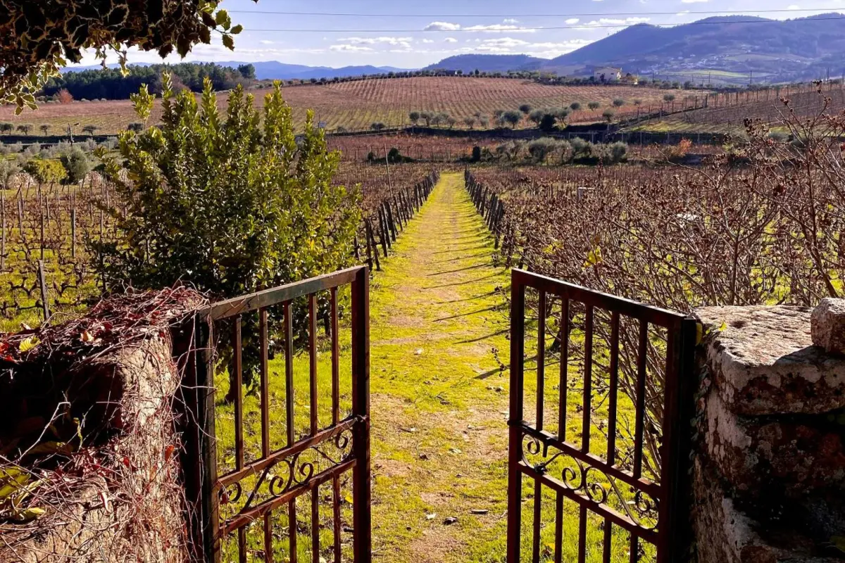 Casa dos Barros - Imagem 32