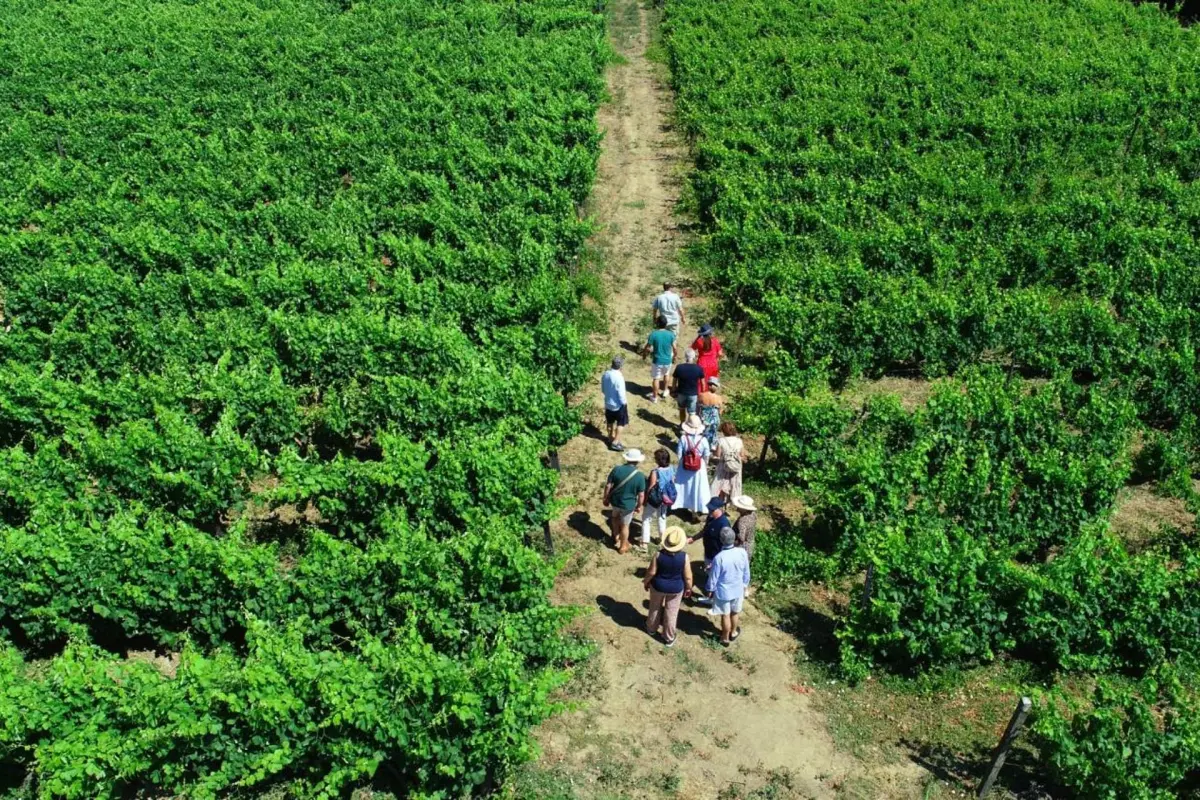 Casa dos Barros - Imagem 33