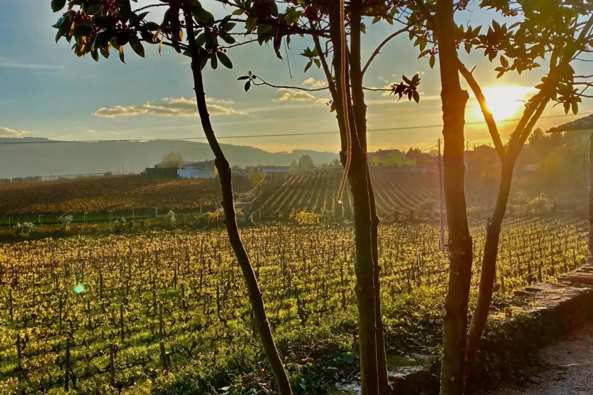 Casa dos Barros - Imagem 39