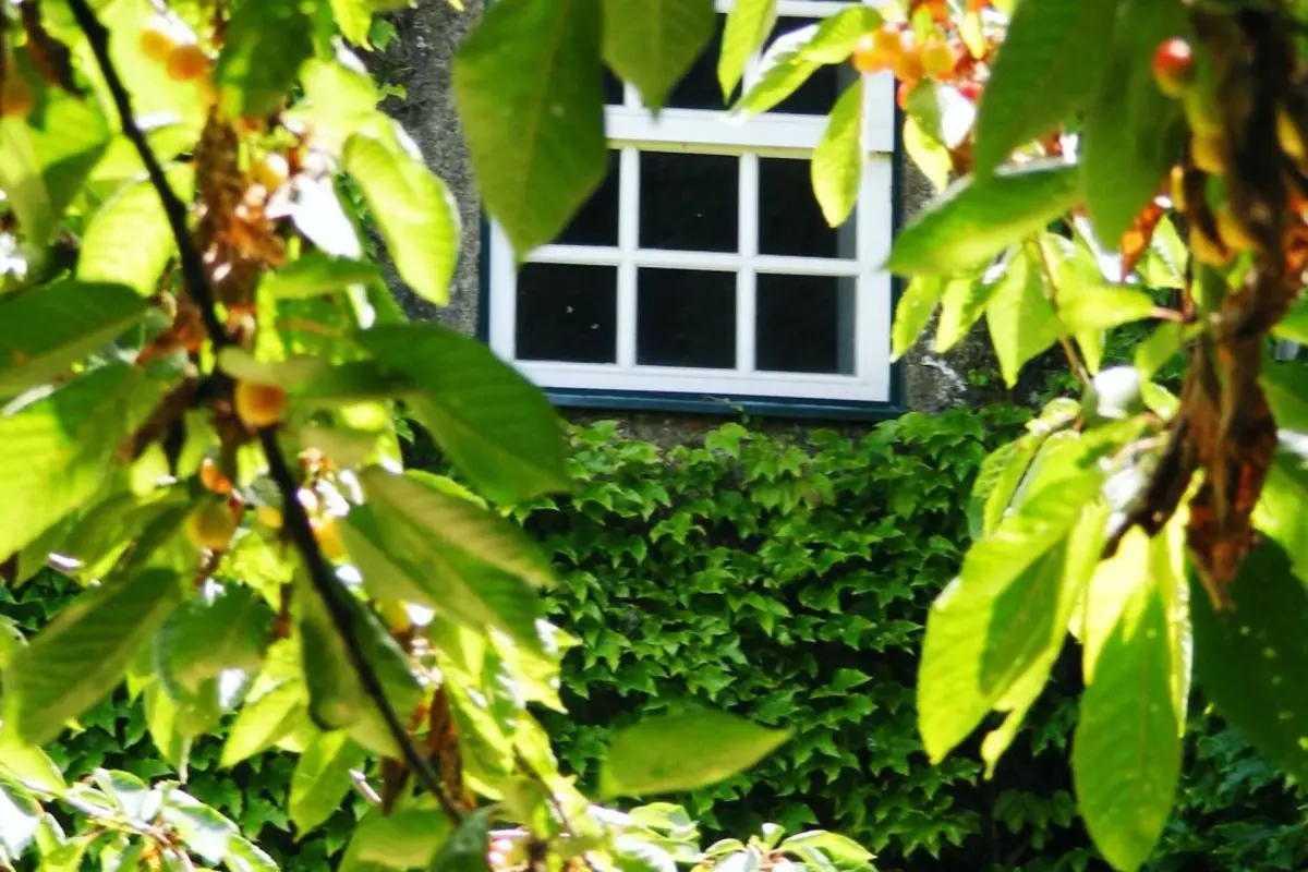 Casa dos Barros - Imagem 40