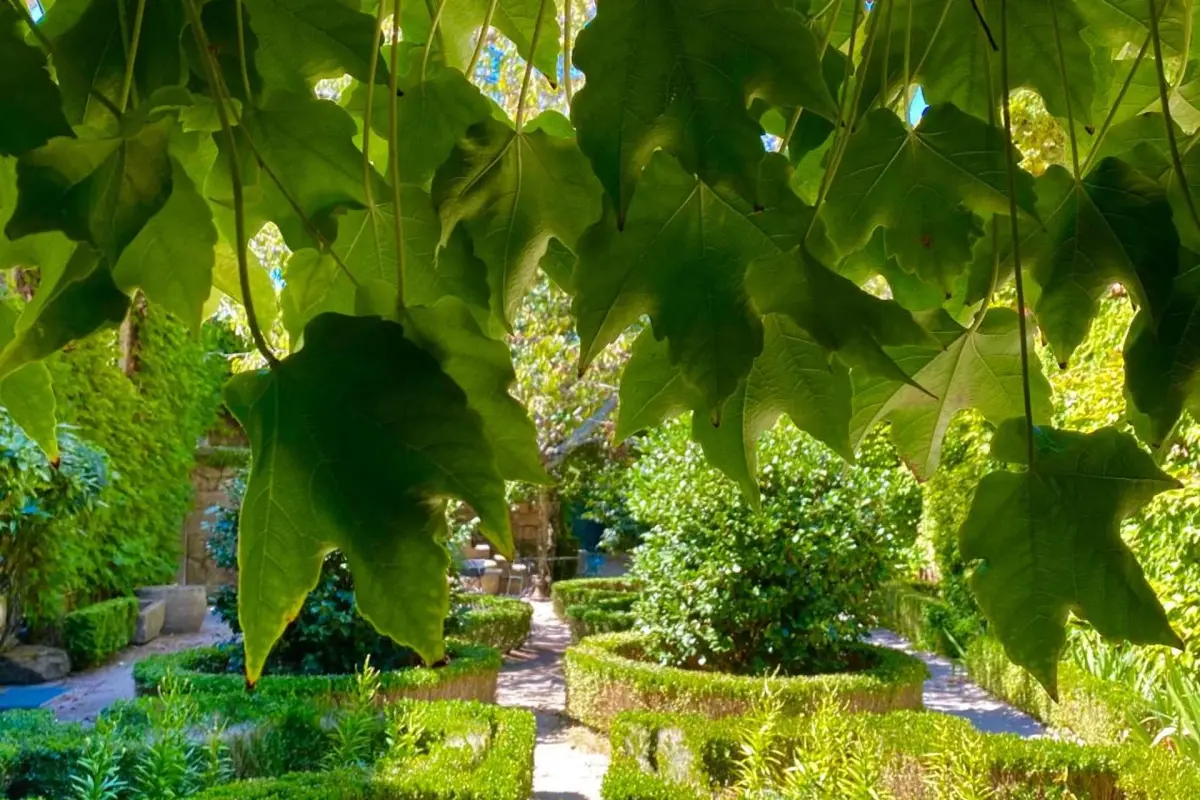 Casa dos Barros - Imagem 44