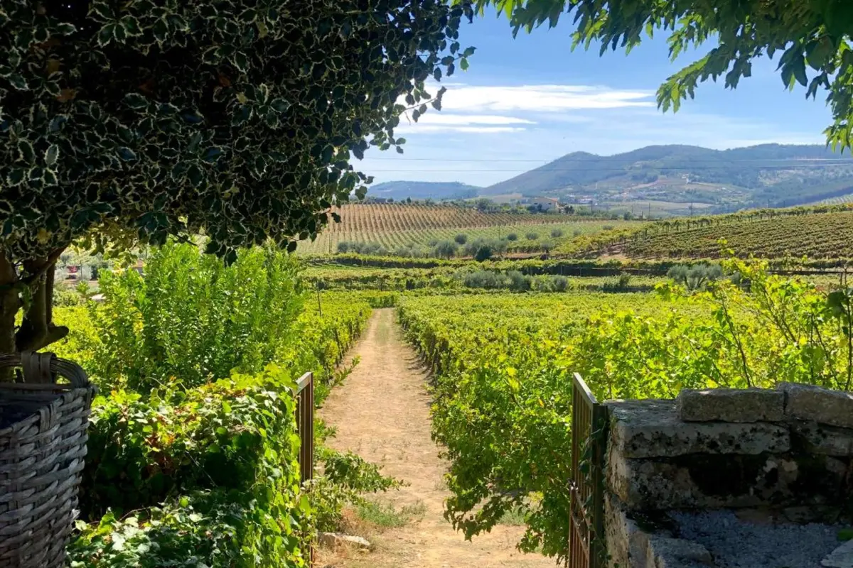 Casa dos Barros - Imagem 48