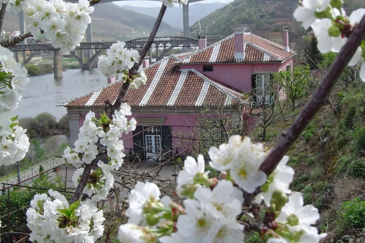 Casa Dos Varais: Uma Joia da Hospitalidade No Coração da Natureza - Imagem 101