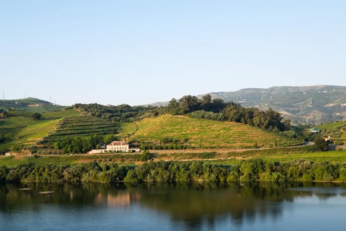 Casa Dos Varais: Uma Joia da Hospitalidade No Coração da Natureza - Imagem 64