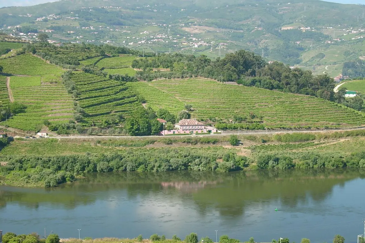 Casa Dos Varais: Uma Joia da Hospitalidade No Coração da Natureza - Imagem 72