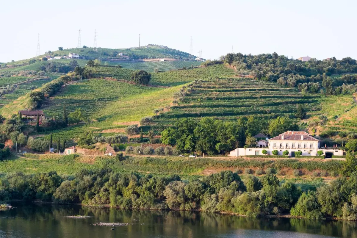 Casa Dos Varais: Uma Joia da Hospitalidade No Coração da Natureza - Imagem 73