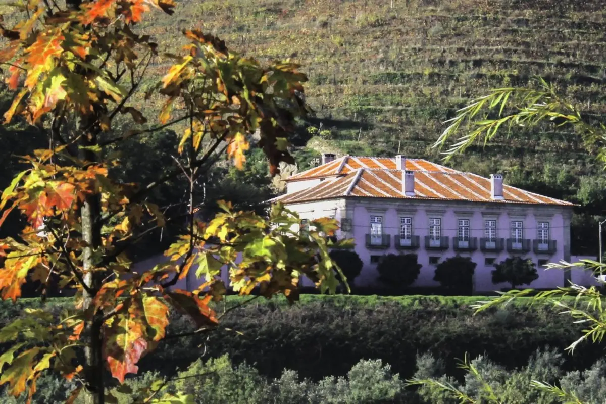 Casa Dos Varais: Uma Joia da Hospitalidade No Coração da Natureza - Imagem 85