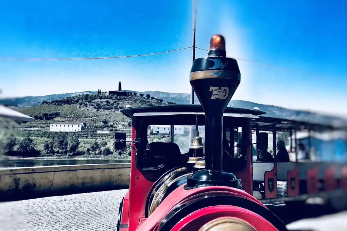 Discover the Charm of Casa Largo do Cruzeiro: The Experience You Deserve - Imagem 25