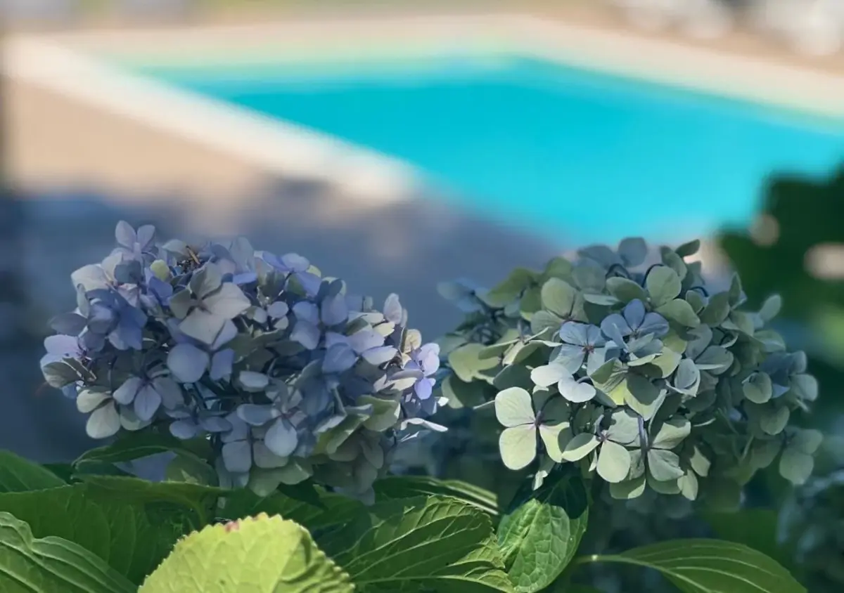 Casa Moinho da Mouta: Ländlicher Tourismus im Douro-Tal - Imagem 18