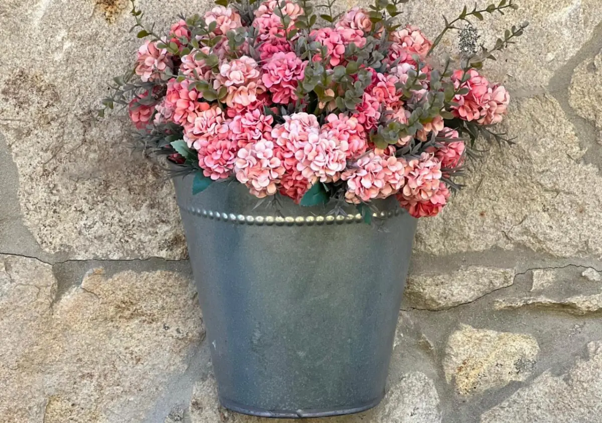 Casa Moinho da Mouta: Ländlicher Tourismus im Douro-Tal - Imagem 27