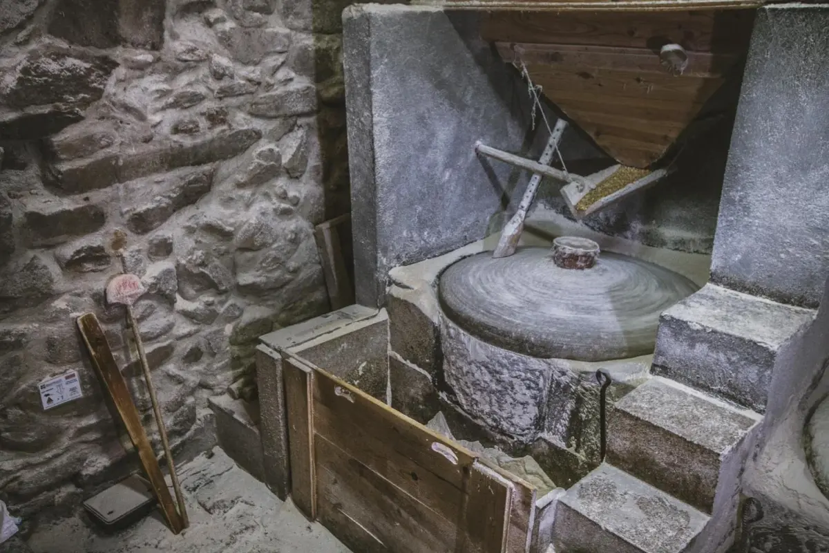 Casa Moinho da Mouta: Ländlicher Tourismus im Douro-Tal - Imagem 39