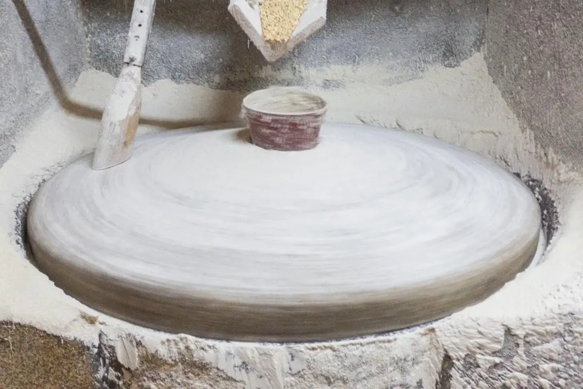 Casa Moinho da Mouta: Ländlicher Tourismus im Douro-Tal - Imagem 40