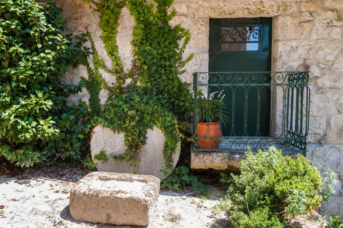 Casa Moinho da Mouta: Ländlicher Tourismus im Douro-Tal - Imagem 42