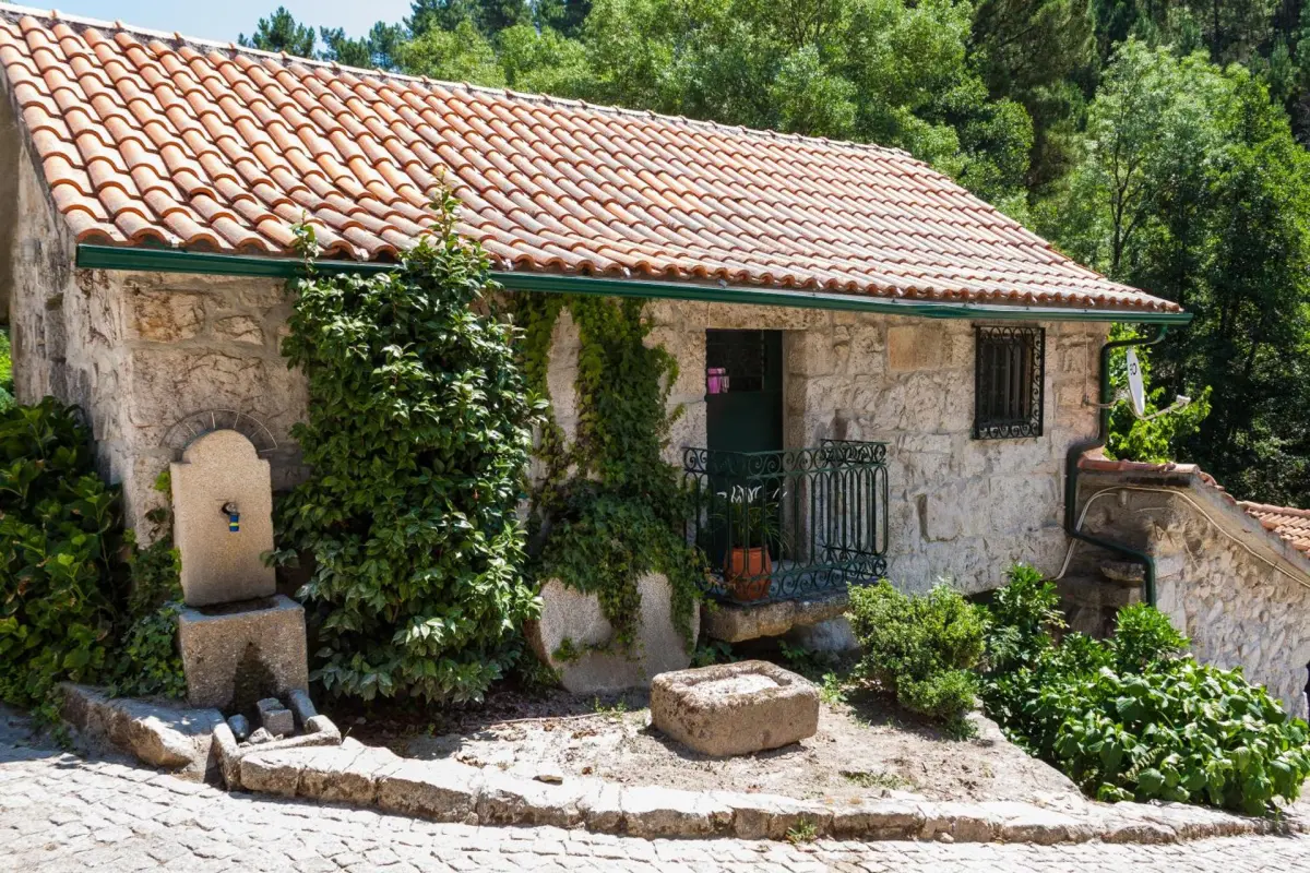 Casa Moinho da Mouta: Ländlicher Tourismus im Douro-Tal - Imagem 44