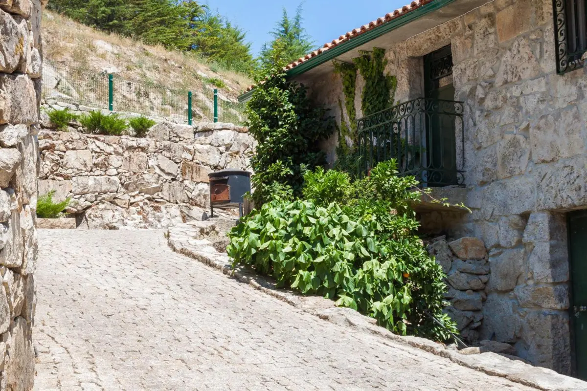 Casa Moinho da Mouta: Ländlicher Tourismus im Douro-Tal - Imagem 46