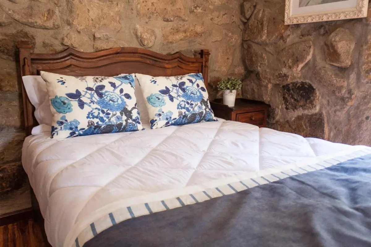 Casa Moinho da Mouta: Ländlicher Tourismus im Douro-Tal - Imagem 50