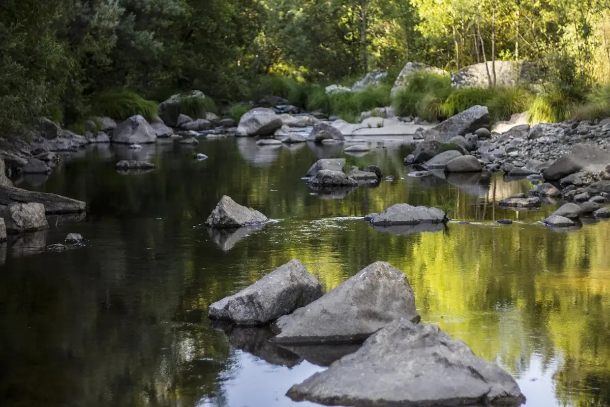 Casa Moinho da Mouta: Ländlicher Tourismus im Douro-Tal - Imagem 52