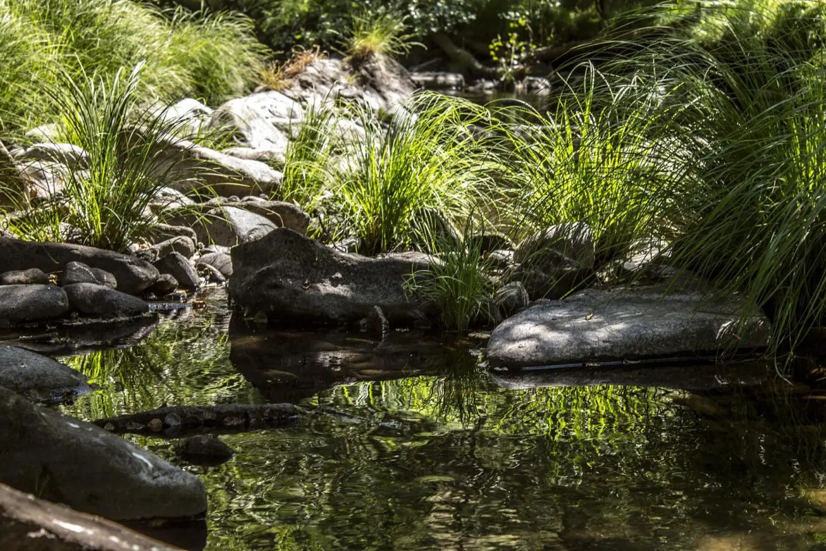 Casa Moinho da Mouta: Ländlicher Tourismus im Douro-Tal - Imagem 53