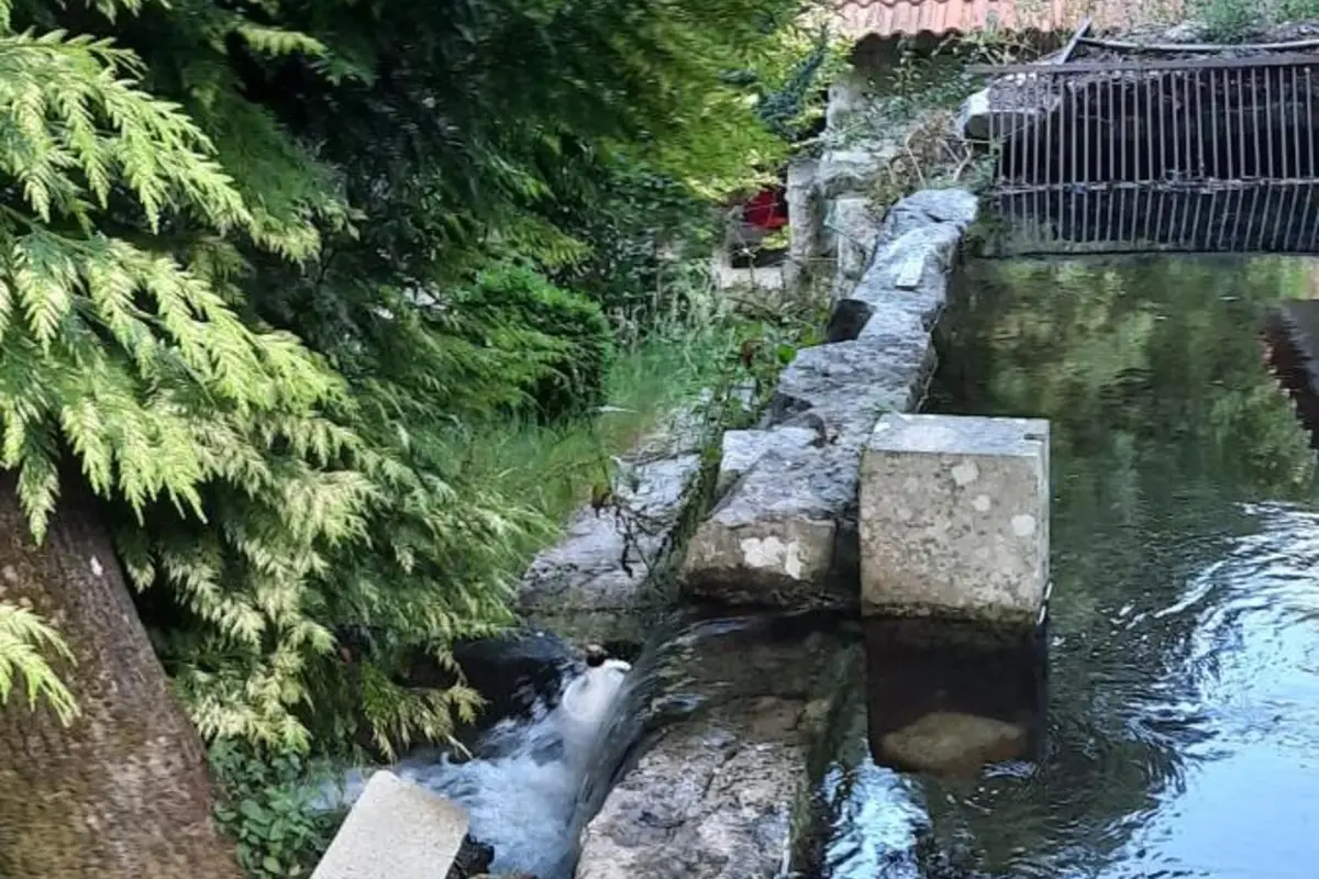 Casa Moinho da Mouta: Ländlicher Tourismus im Douro-Tal - Imagem 54