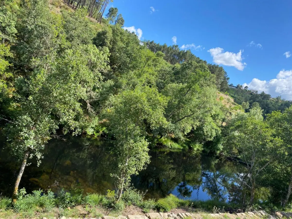 Casa Moinho da Mouta: Ländlicher Tourismus im Douro-Tal - Imagem 55