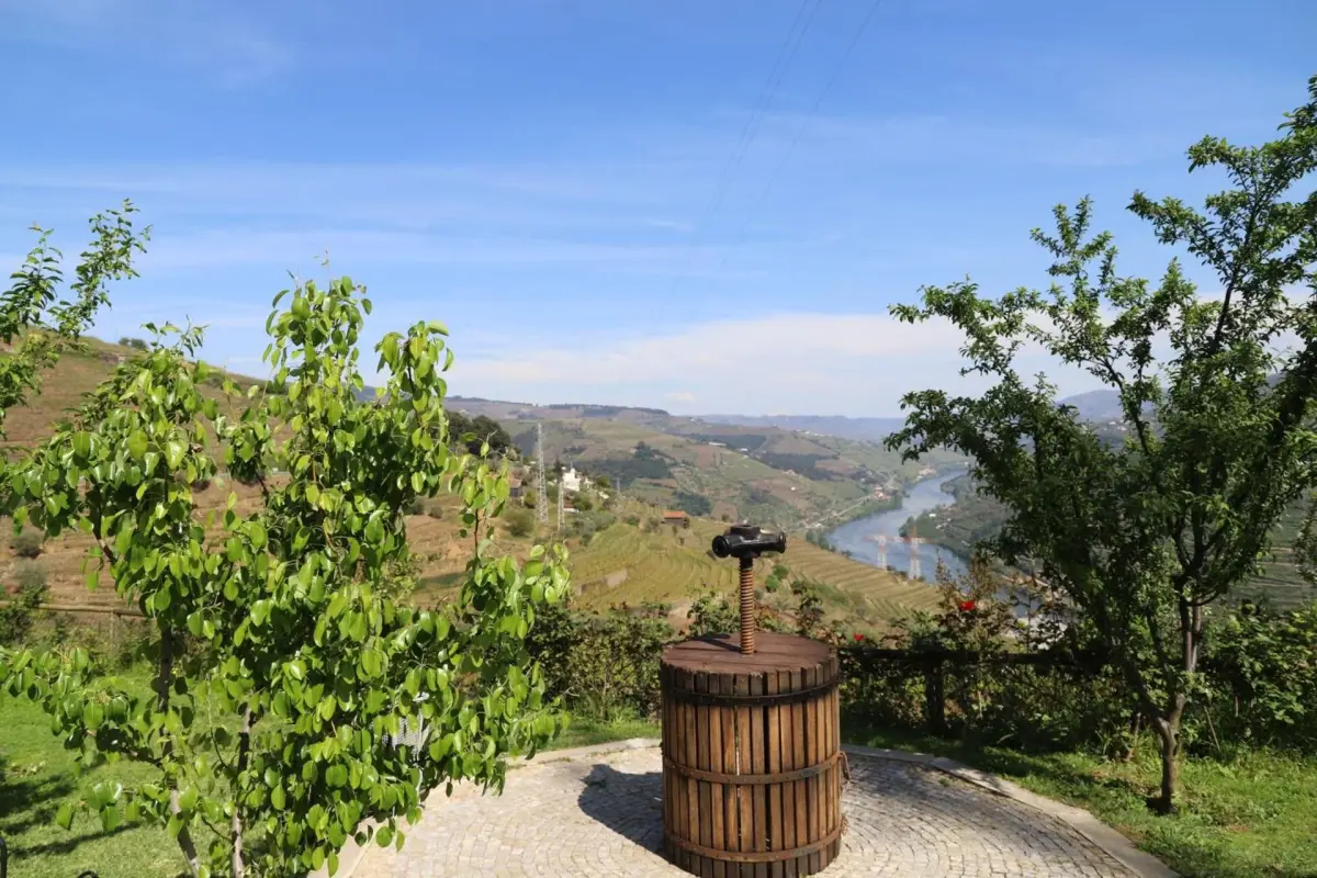 Discover the Casa Vale do Douro: The Gem of Portuguese Hospitality - Imagem 25